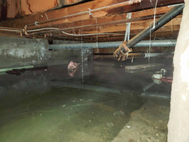 Best Sewage cleanup and water damage restoration  in The Hills, TX