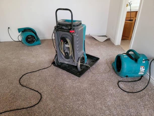 Best Water damage contractors near me  in The Hills, TX