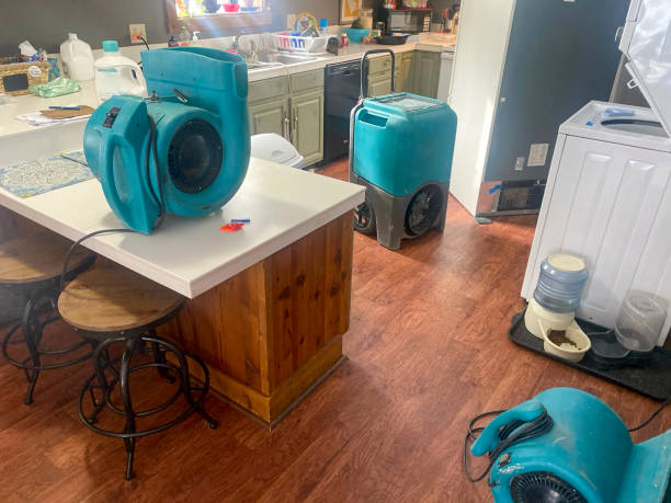 Best Sewage cleanup and water damage restoration  in The Hills, TX