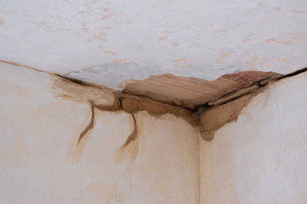 Professional Water damage restoration in The Hills, TX