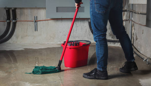 Best Sewage cleanup and water damage restoration  in The Hills, TX