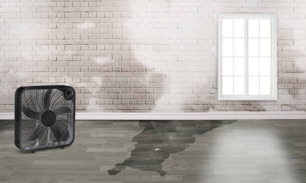 Best Flood damage cleanup  in The Hills, TX