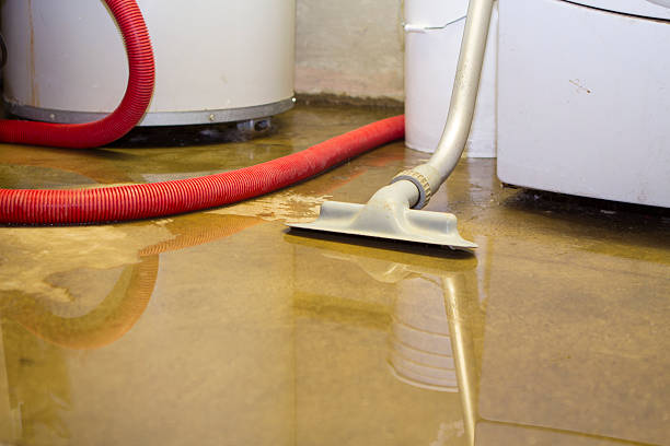 Best Flooded house restoration  in The Hills, TX