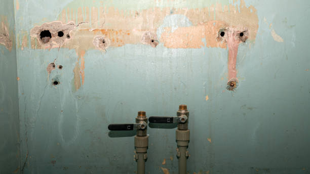 Best Mold removal after water damage  in The Hills, TX