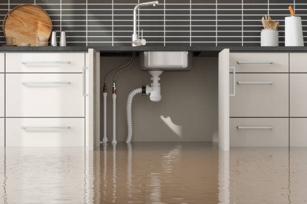 Best Basement water damage restoration  in The Hills, TX