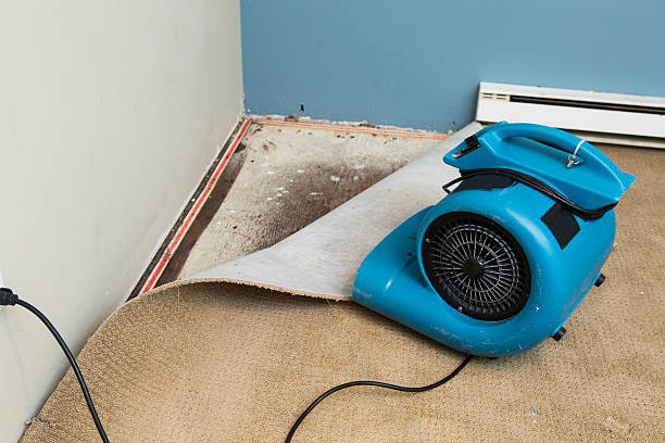 Sewage cleanup and water damage restoration in The Hills, TX